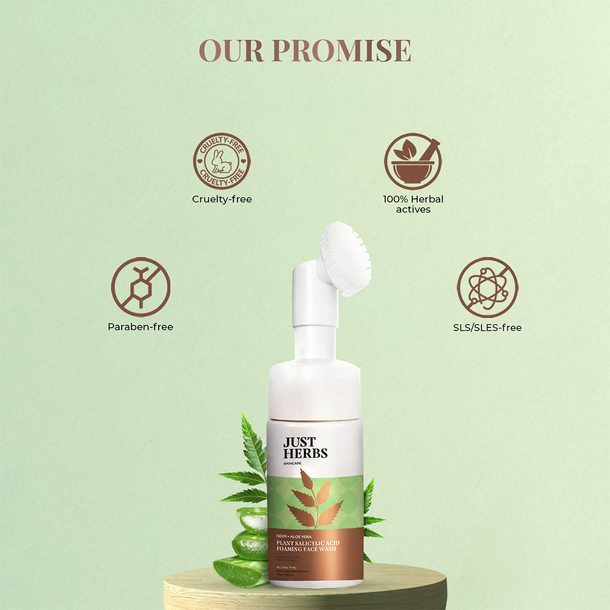 Just Herbs Neem And Aloe Vera Plant Salicylic Acid Foaming Face Wash