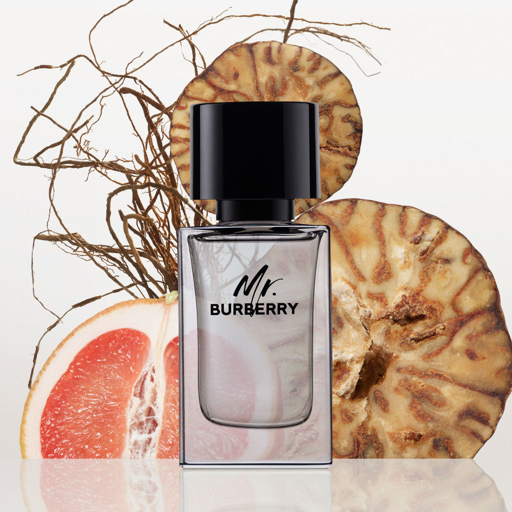 Burberry Mr. Burberry Eau De Toilette For Him