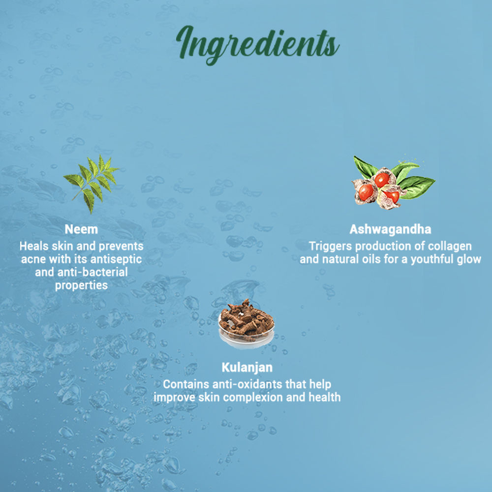 Biotique Bio Neem Purifying Face Wash Prevents Pimples For All Skin Types