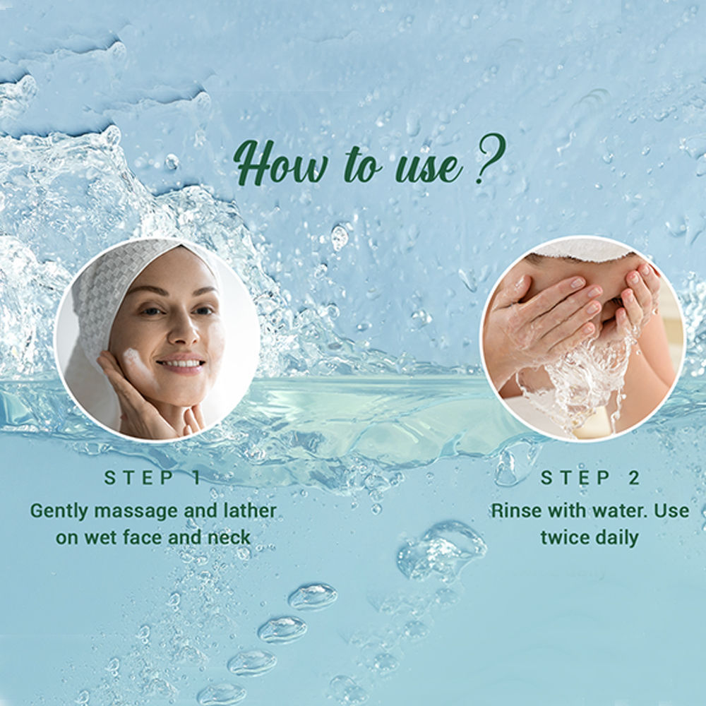 Biotique Bio Neem Purifying Face Wash Prevents Pimples For All Skin Types
