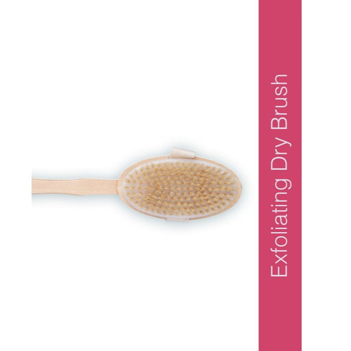 Global Beauty Secrets Dry Brush With 14 Inch Removable Wood Handle