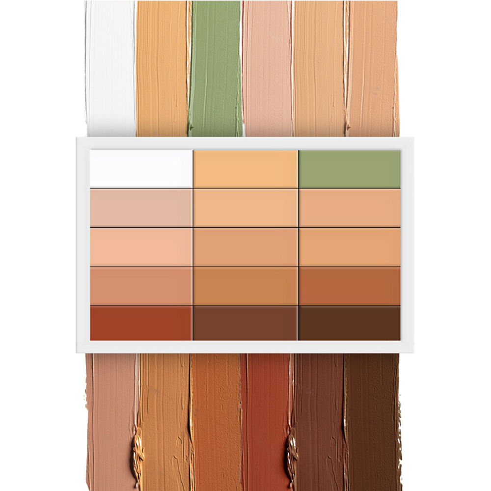 Shopaarel All In 1 Concealer Palette