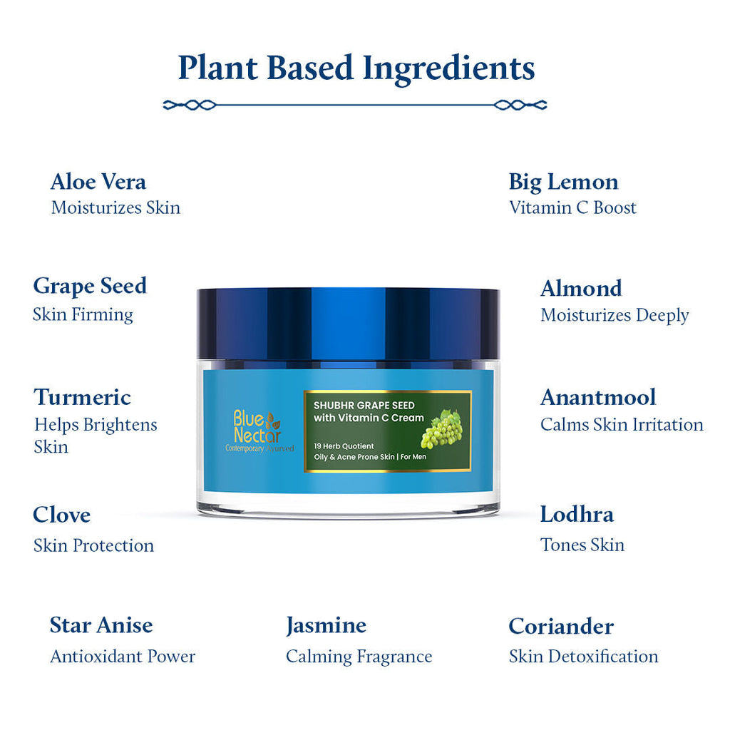 Blue Nectar Vitamin C Oil Free Cream for Oily & Acne Prone Skin for Men