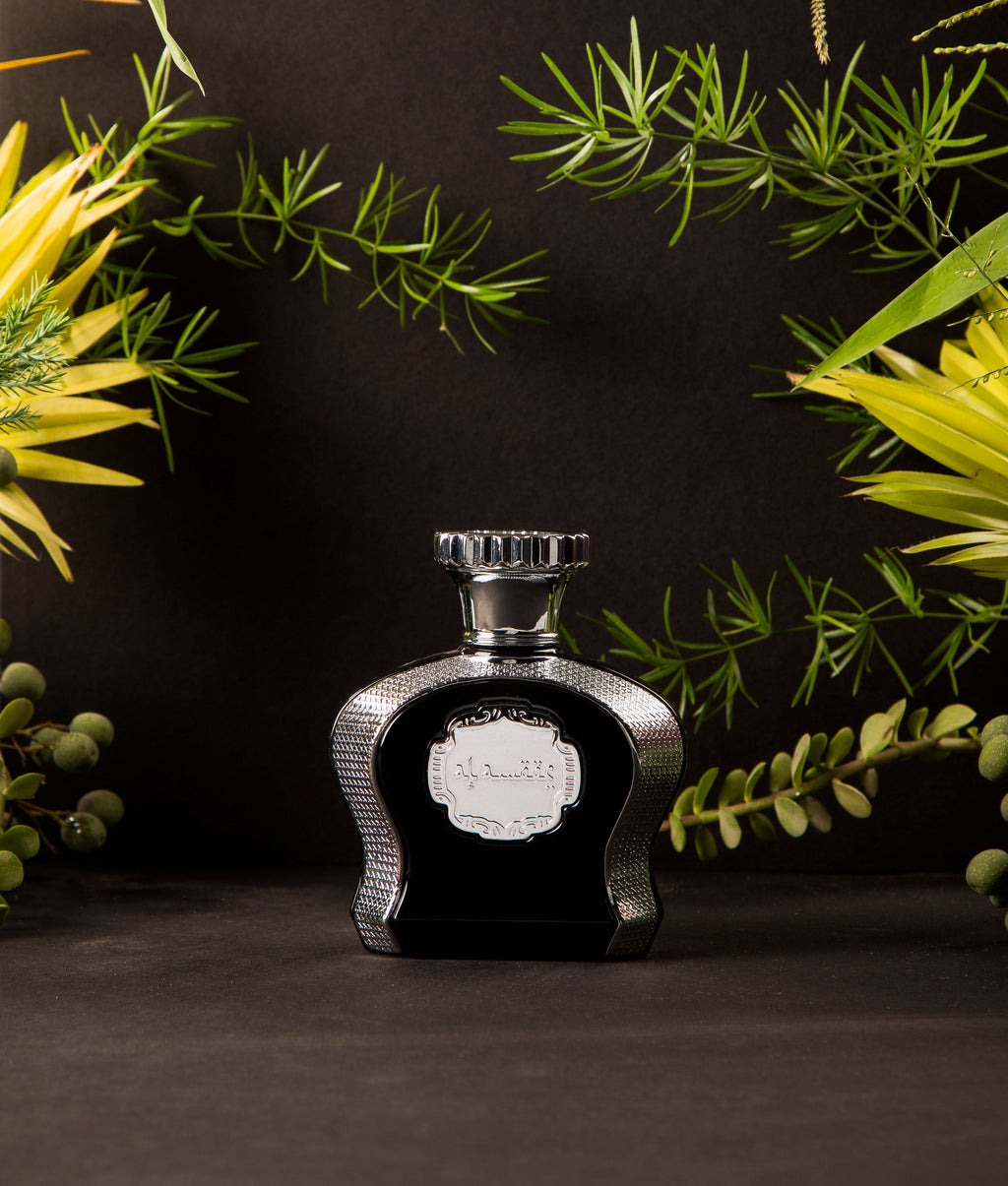 Mocemsa Al Ameer Pour Homme Eau De Parfum