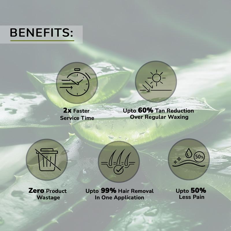 Biosoft Liposoluble Aloe Vera Creme Wax