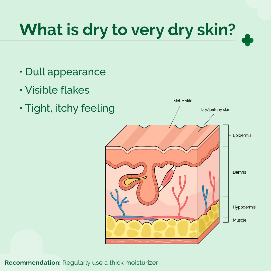 The Derma Co 5% Nia-Ceramide Deep Moisturizing Cream for Dry and Very Dry Skin