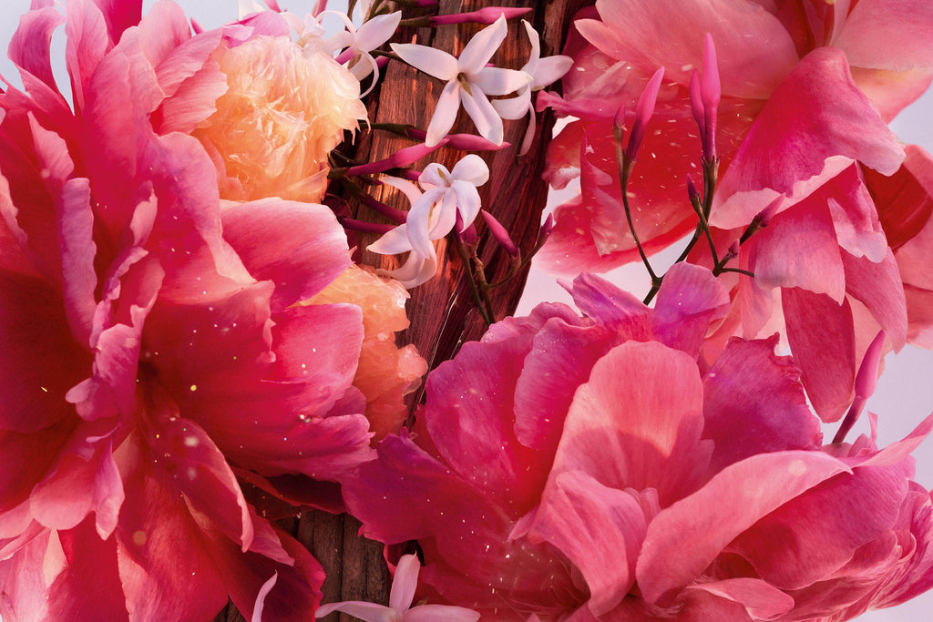DIOR Miss Dior Parfum