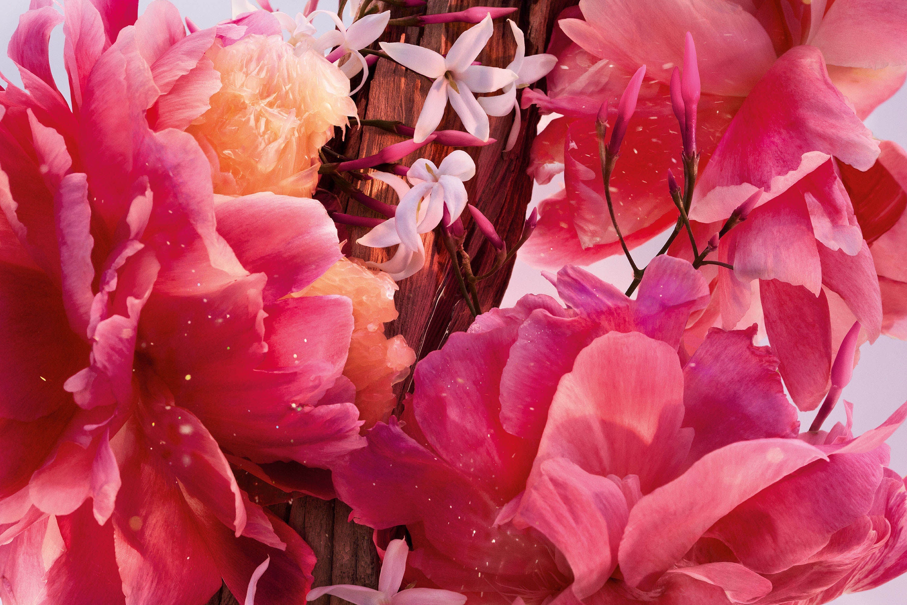 DIOR Miss Dior Parfum