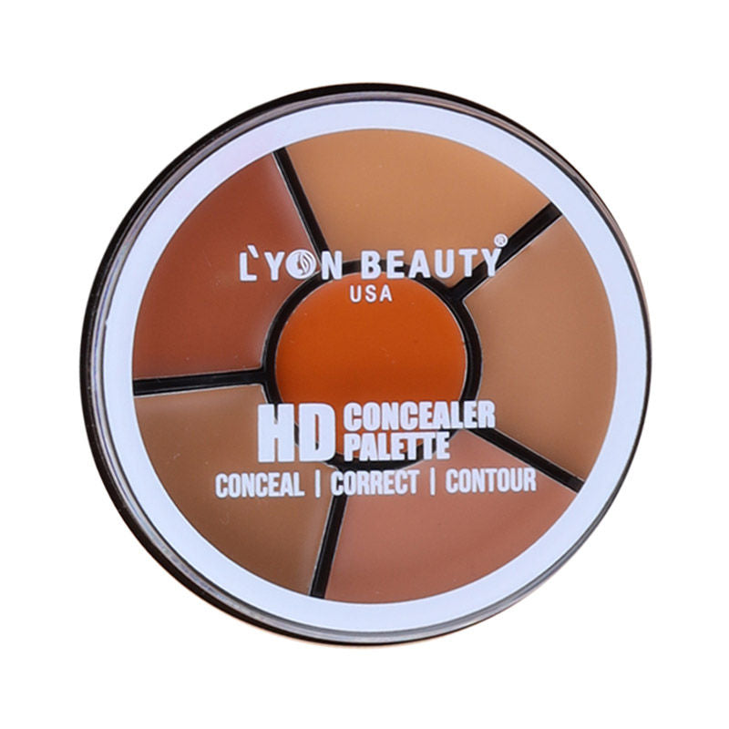 Lyon Beauty Hd Concealer Palette