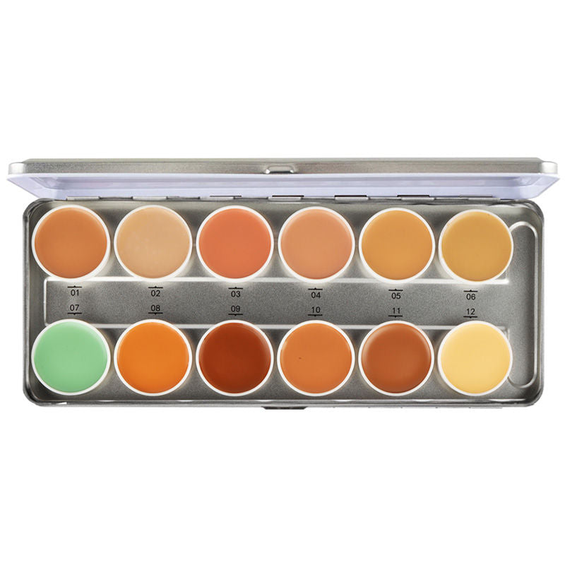 Lyon Beauty Pro Artist Concealer Palette