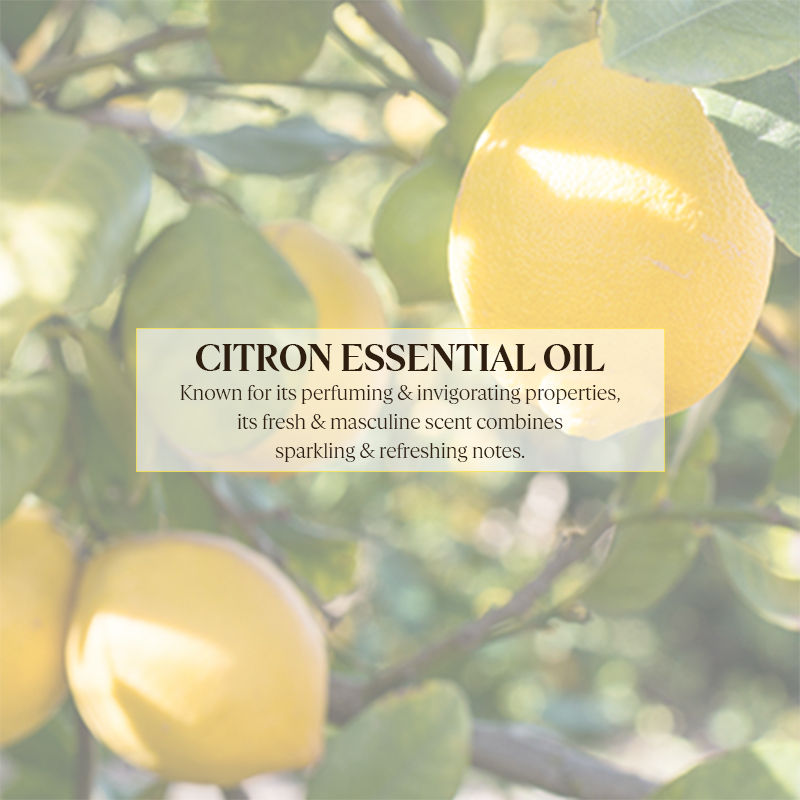 L'Occitane Eau De Cedrat Stick Deodorant