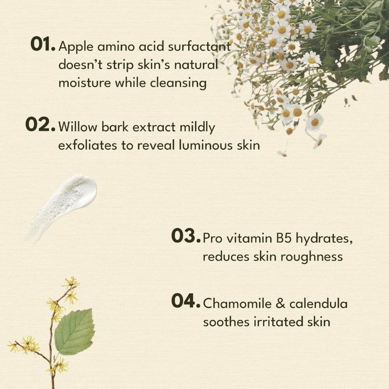The Good Hygiene Co. Apple Amino Foam Facewash