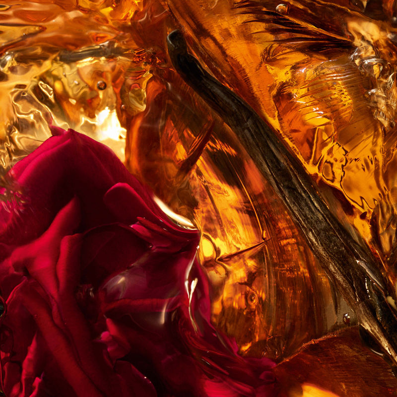 Guerlain Absolus Allegoria Ambre Samar Eau De Parfum