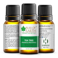 Bliss Of Earth Tea Tree Premium Essential Oil