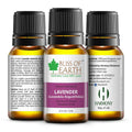 Bliss Of Earth Lavender Premium Essential Oil
